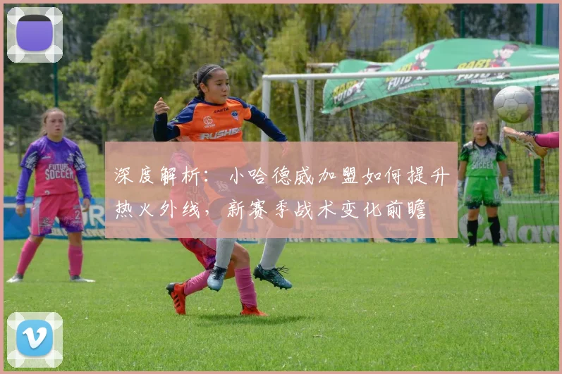 深度解析:小哈德威加盟如何提升热火外线,新赛季战术变化前瞻