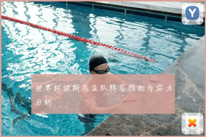 世界杯波斯尼亚队阵容预测与实力分析