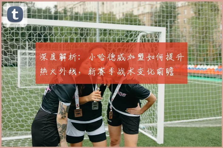 深度解析:小哈德威加盟如何提升热火外线,新赛季战术变化前瞻